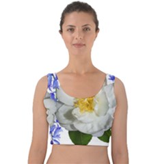 Flowers Camellia Bluebells Fragrant Velvet Crop Top by Pakrebo