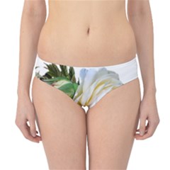 Rose White Flower Plumbago Hipster Bikini Bottoms by Pakrebo