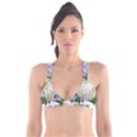 Rose White Flower Plumbago Plunge Bikini Top View1