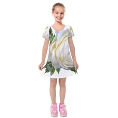 Rose White Flower Plumbago Kids  Short Sleeve Velvet Dress by Pakrebo