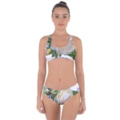 Rose White Flower Plumbago Criss Cross Bikini Set by Pakrebo