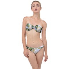 Rose White Flower Plumbago Classic Bandeau Bikini Set by Pakrebo