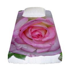 Roses Pink Flowers Perfume Leaves Fitted Sheet (single Size) by Pakrebo