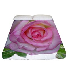 Roses Pink Flowers Perfume Leaves Fitted Sheet (queen Size) by Pakrebo