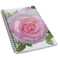 Roses Pink Flowers Perfume Leaves 5 5  X 8 5  Notebook by Pakrebo