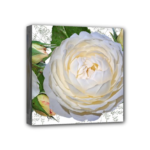 Flowers Roses White Fragrant Mini Canvas 4  X 4  (stretched) by Pakrebo