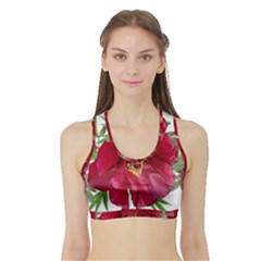 Flowers Red Peony Arrangement Sports Bra With Border by Pakrebo