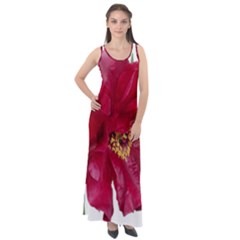 Flowers Red Peony Arrangement Sleeveless Velour Maxi Dress by Pakrebo