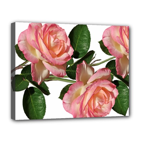 Roses Flowers Perfume Garden Canvas 14  X 11  (stretched) by Pakrebo