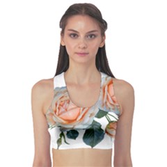 Roses Flowers Buds Ragrance Sports Bra by Pakrebo