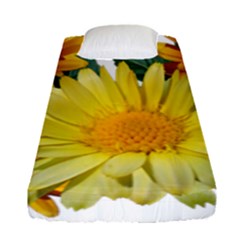 Daisies Flowers Yellow Arrangement Fitted Sheet (single Size) by Pakrebo