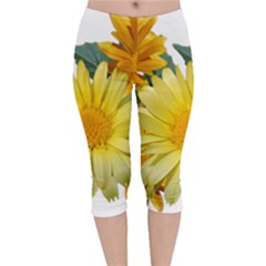 Daisies Flowers Yellow Arrangement Velvet Capri Leggings  by Pakrebo