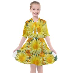 Daisies Flowers Yellow Arrangement Kids  All Frills Chiffon Dress