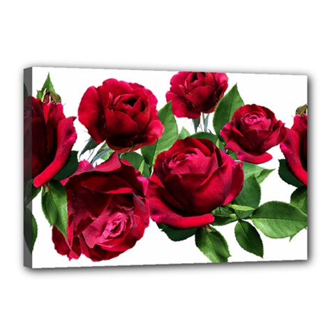 Roses Flowers Red Romantic Garden Canvas 18  X 12  (stretched) by Pakrebo