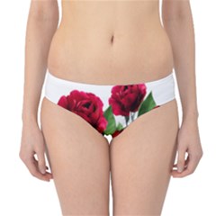 Roses Flowers Red Romantic Garden Hipster Bikini Bottoms by Pakrebo