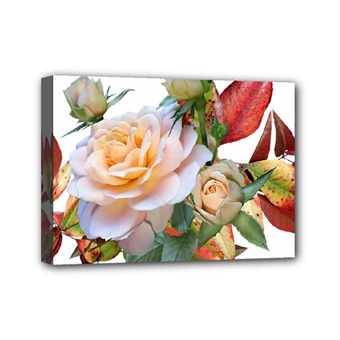 Autumn Leaves Roses Flowers Garden Mini Canvas 7  X 5  (stretched) by Pakrebo