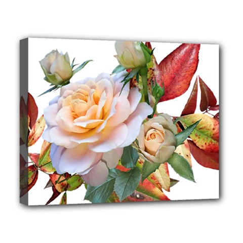 Autumn Leaves Roses Flowers Garden Deluxe Canvas 20  X 16  (stretched) by Pakrebo