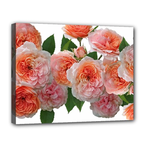 Roses Flowers Arrangement Perfume Canvas 14  X 11  (stretched) by Pakrebo