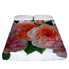 Roses Flowers Arrangement Perfume Fitted Sheet (queen Size) by Pakrebo