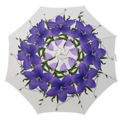 Flowers Blue Campanula Arrangement Straight Umbrellas by Pakrebo