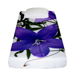 Flowers Blue Campanula Arrangement Fitted Sheet (single Size) by Pakrebo