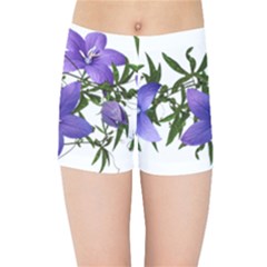 Flowers Blue Campanula Arrangement Kids  Sports Shorts by Pakrebo