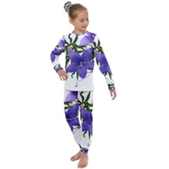 Flowers Blue Campanula Arrangement Kids  Long Sleeve Set 