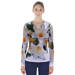 Lilies Belladonna White Flowers V-neck Long Sleeve Top