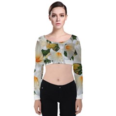 Lilies Belladonna White Flowers Velvet Long Sleeve Crop Top