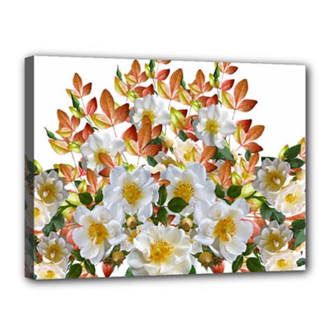 Flowers Roses Leaves Autumn Canvas 16  X 12  (stretched)