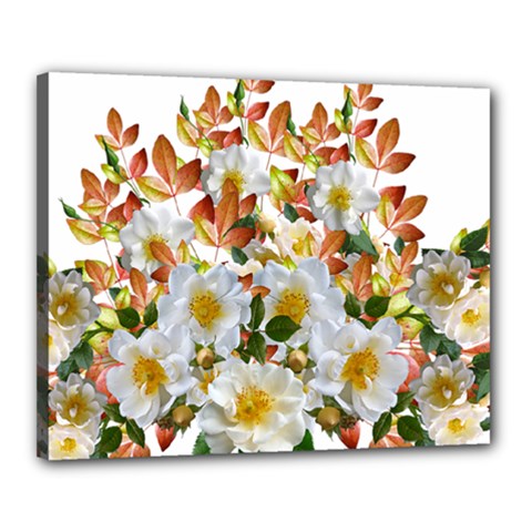 Flowers Roses Leaves Autumn Canvas 20  X 16  (stretched)