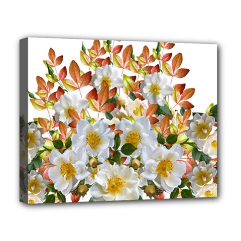 Flowers Roses Leaves Autumn Deluxe Canvas 20  X 16  (stretched)