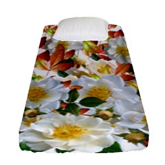 Flowers Roses Leaves Autumn Fitted Sheet (single Size) by Pakrebo