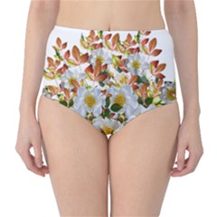 Flowers Roses Leaves Autumn Classic High-waist Bikini Bottoms by Pakrebo