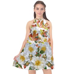 Flowers Roses Leaves Autumn Halter Neckline Chiffon Dress 