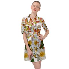 Flowers Roses Leaves Autumn Belted Shirt Dress