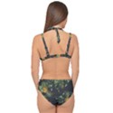 Pineapples pattern Double Strap Halter Bikini Set View2