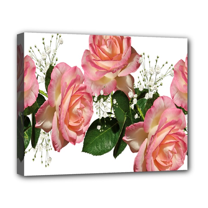 Roses Pink Leaves Flowers Perfume Deluxe Canvas 20  x 16  (Stretched)