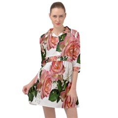 Roses Pink Leaves Flowers Perfume Mini Skater Shirt Dress