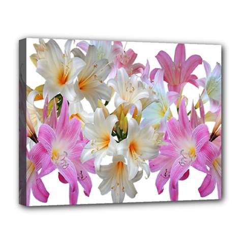 Lilies Belladonna Easter Lilies Canvas 14  X 11  (stretched) by Simbadda