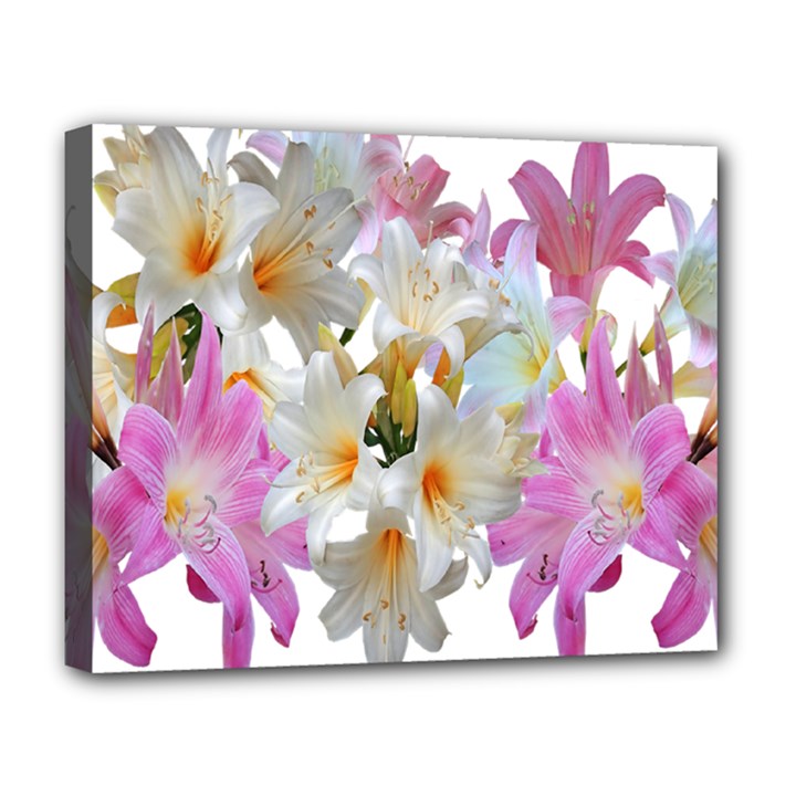 Lilies Belladonna Easter Lilies Deluxe Canvas 20  x 16  (Stretched)