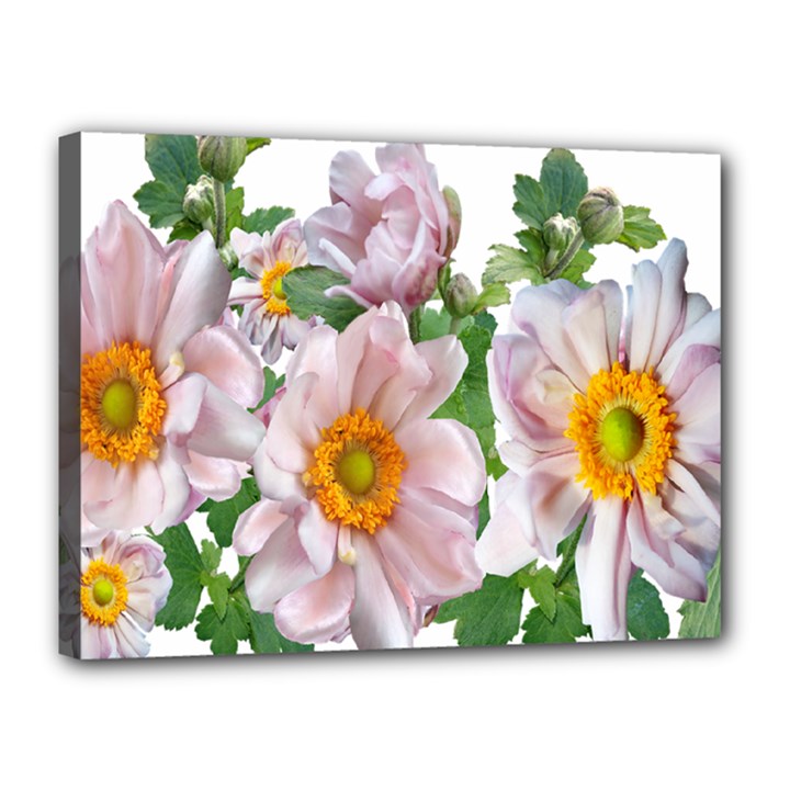 Flowers Anemone Arrangement Cut Out Canvas 16  x 12  (Stretched)