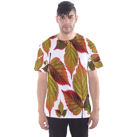 Leaves Autumn Fall Colorful Men s Sports Mesh Tee by Simbadda