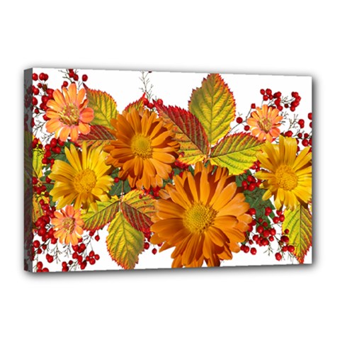 Flowers Arrangement Autumn Daisies Canvas 18  X 12  (stretched) by Simbadda