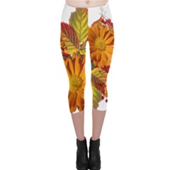 Flowers Arrangement Autumn Daisies Capri Leggings  by Simbadda