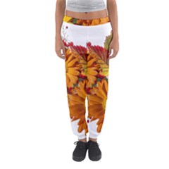 Flowers Arrangement Autumn Daisies Women s Jogger Sweatpants by Simbadda