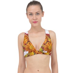 Flowers Arrangement Autumn Daisies Classic Banded Bikini Top