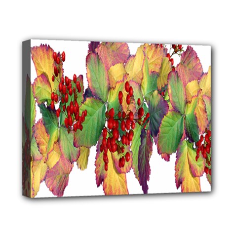 Leaves Autumn Berries Garden Canvas 10  X 8  (stretched) by Simbadda