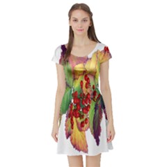 Leaves Autumn Berries Garden Short Sleeve Skater Dress by Simbadda