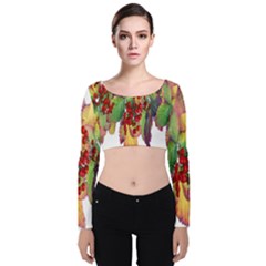 Leaves Autumn Berries Garden Velvet Long Sleeve Crop Top by Simbadda